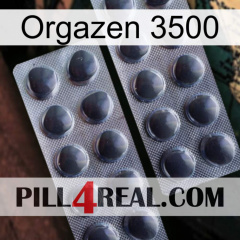 Orgazen 3500 31